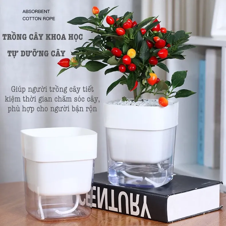 Chậu Hoa Để Bàn Đẹp